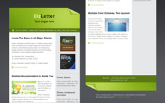 BizLetter
